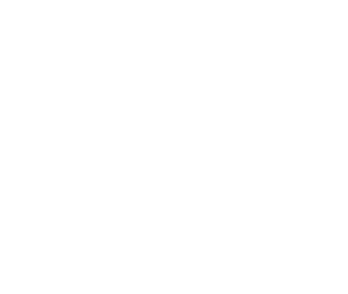 ES UN BOOM Logo